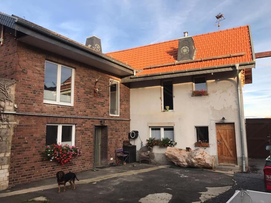 Ferienwohnung Felinenhof Weilerswist Luaran gambar
